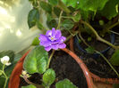 DSC02357