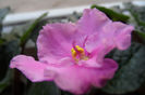SAM_1723
