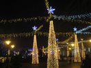 IMG_1524
