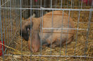 IMG_0456