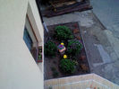 DSC00033