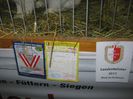 Ried 2013_ 078