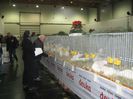 Ried 2013_ 100