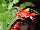 DSC05960