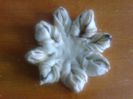 Floricele untoase cu gem de capsuni - 10