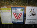 Ried 2013_ 256