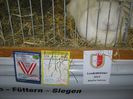 Ried 2013_ 266