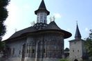 155909_articol