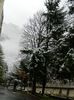 DSCN9397