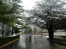 DSCN9407