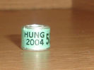 HUNG 2004