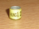 HUNG 2011