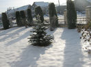 iarna in satele noastre 013