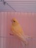 IMG_20120107_203825