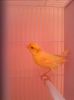 IMG_20120107_203703