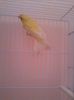IMG_20120107_203801