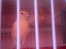 IMG00110