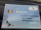 a sosit diploma..