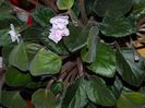 DSCN0060
