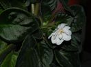 DSCN0065