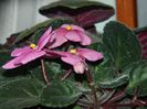 DSCN0073