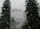 DSCN9431