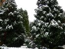 DSCN9448