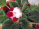 DSCF1779
