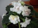 DSCF1789