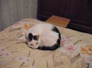 DSCF1764
