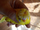 DSCN5129