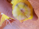 DSCN5133