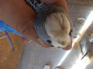 DSCN5138