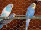 DSCN5143