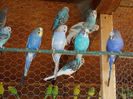 DSCN5148