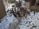 IMG-20131221-00164