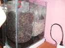 pt site 2