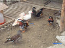 DSC09400