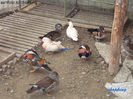 DSC09402