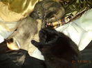 suntem somnorosi