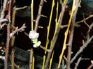 DSCN0089