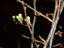 DSCN0094