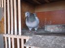 DSCF0482