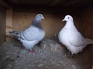 DSCF0519