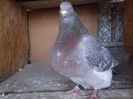 DSCF0521