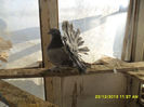 SAM_1671