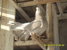 SAM_1675