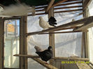 SAM_1759