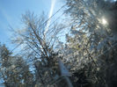 DSCN5378