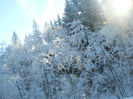 DSCN5380